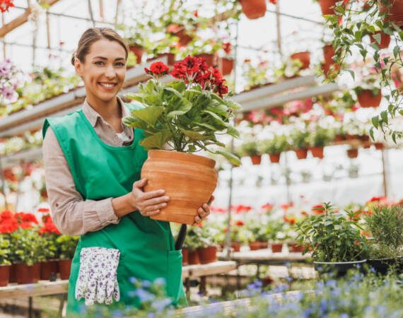 Portrait of beautiful woman florist in flower greenhouse, she holding flower pot with beautiful flowers and looking at camera.